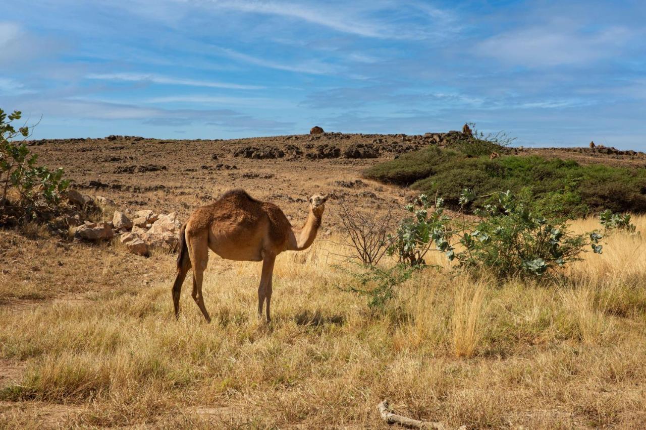 Alila Hinu Bay Salalah Mirbat Hotel Exterior photo